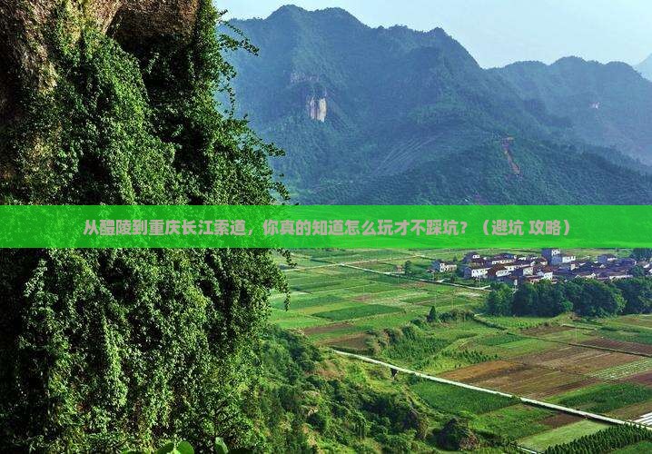 醴陵到重庆长江索道个人游