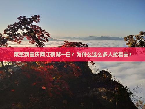 莱芜到重庆两江夜游一日