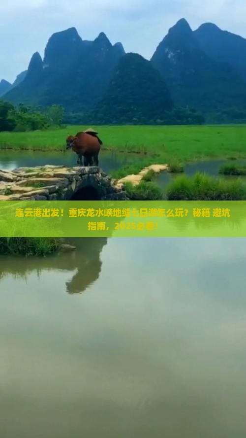 连云港去重庆龙水峡地缝七日游