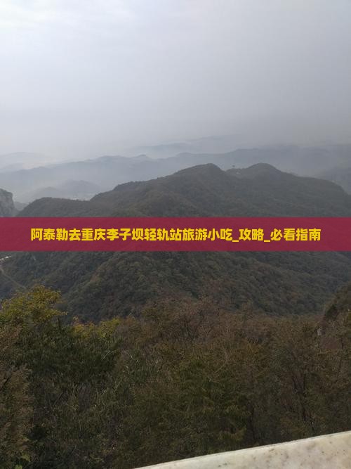 阿泰勒去重庆李子坝轻轨站旅游小吃