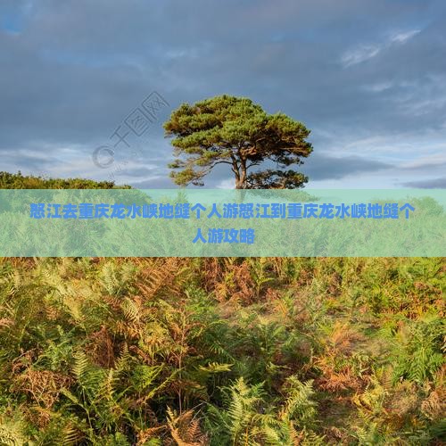 怒江去重庆龙水峡地缝个人游