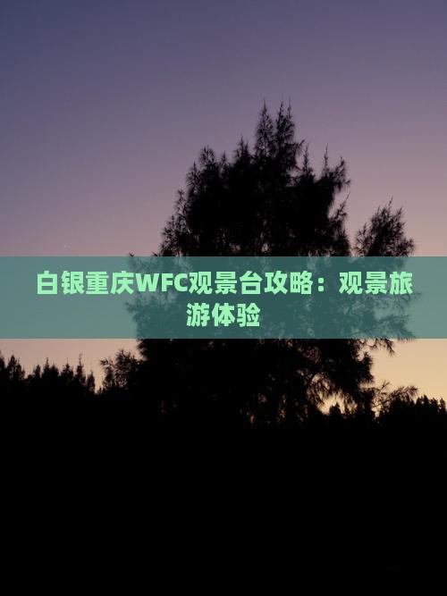 白银去重庆wfc观景台门票