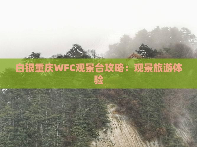 白银去重庆wfc观景台门票