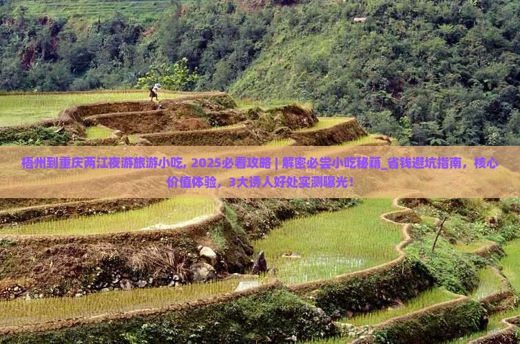 梧州到重庆两江夜游旅游小吃