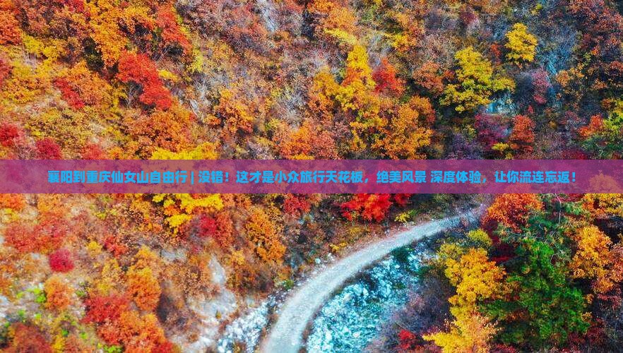 襄阳到重庆仙女山自由行