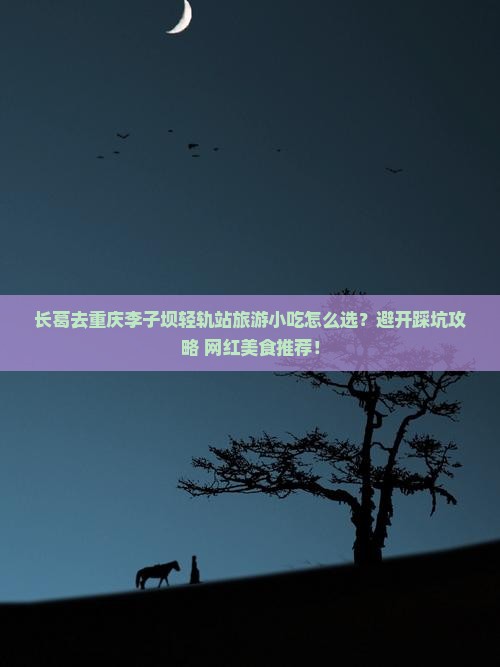 长葛去重庆李子坝轻轨站旅游小吃