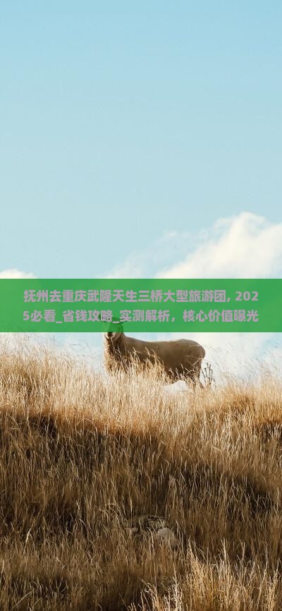 抚州去重庆武隆天生三桥大型旅游团