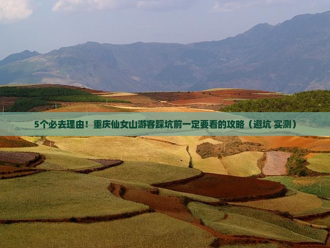 来宾去重庆仙女山必去地