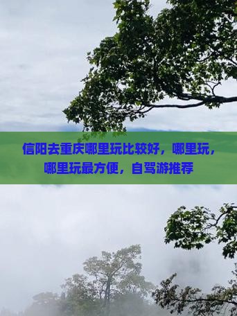 信阳去重庆哪里玩
