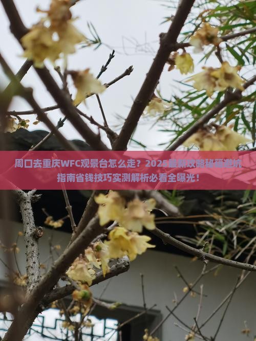 周口去重庆wfc观景台旅游