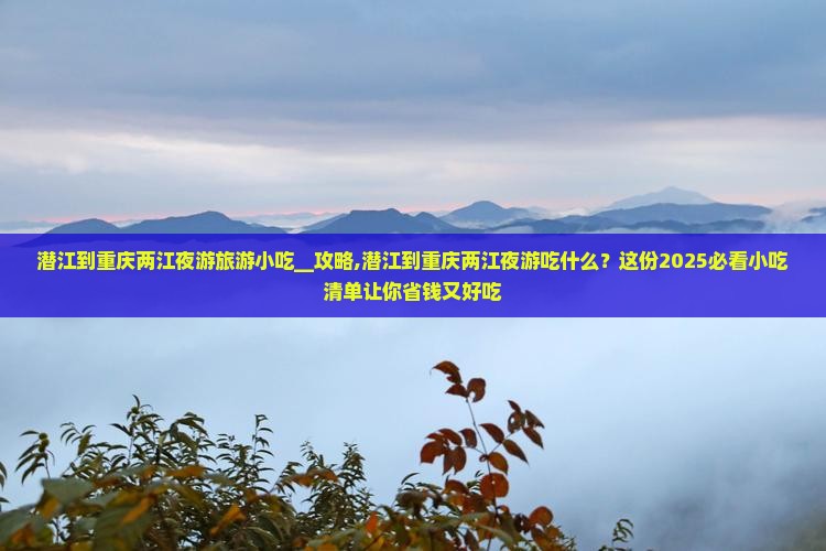 潜江到重庆两江夜游旅游小吃