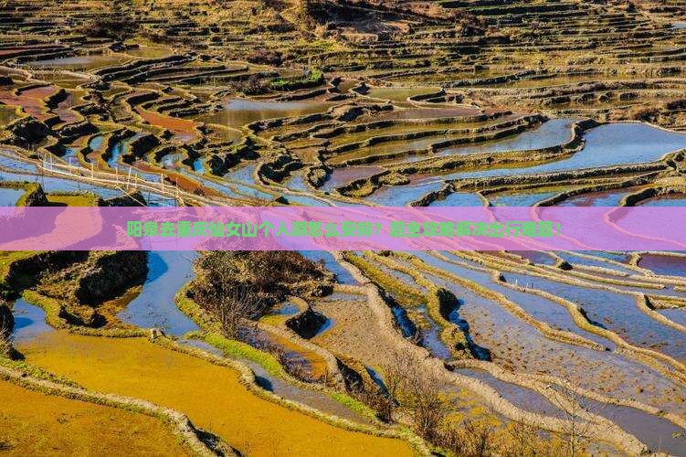 阳泉去重庆仙女山个人游
