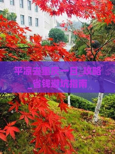 平凉去重庆一日