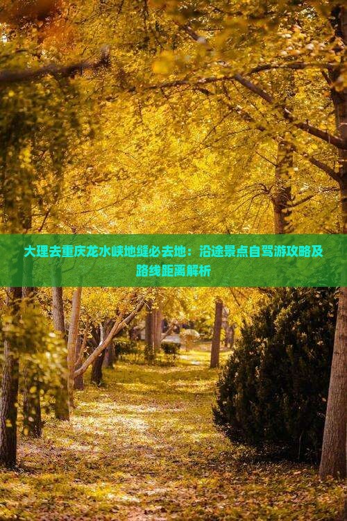 大理去重庆龙水峡地缝必去地：沿途景点自驾游攻略及路线距离解析