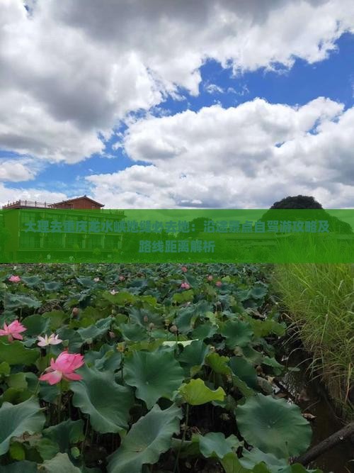大理去重庆龙水峡地缝必去地：沿途景点自驾游攻略及路线距离解析