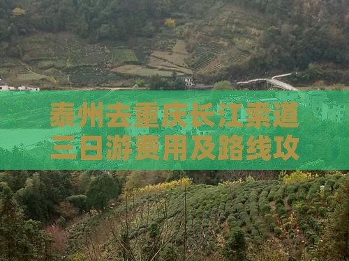 泰州去重庆长江索道三日游费用及路线攻略