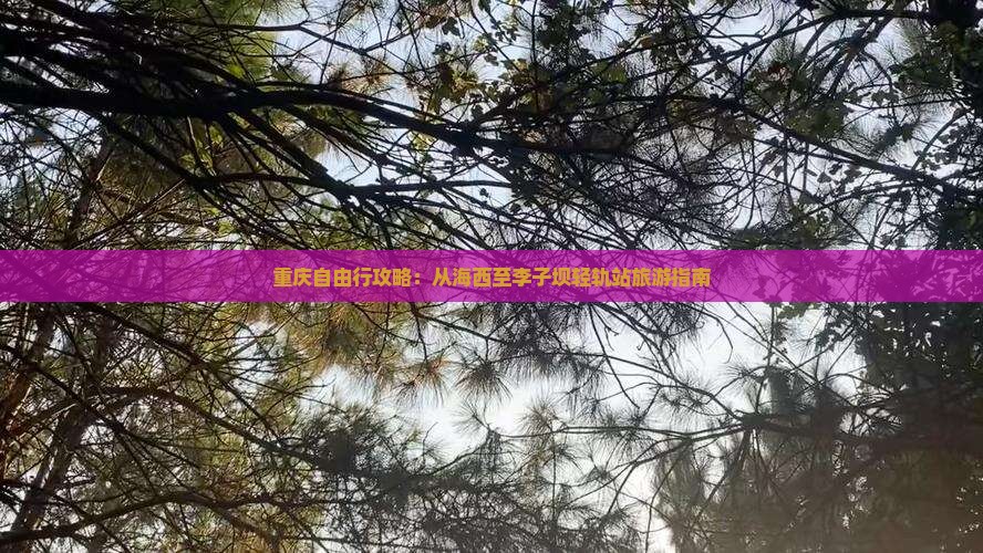 重庆自由行攻略：从海西至李子坝轻轨站旅游指南