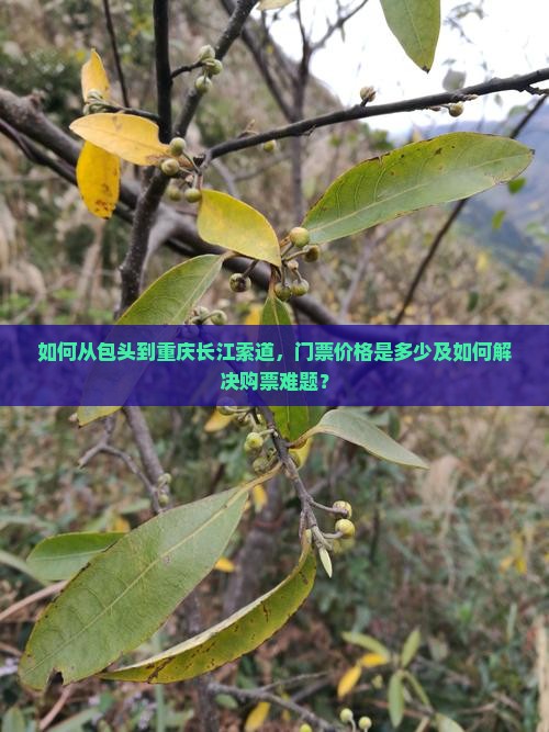 如何从包头到重庆长江索道，门票价格是多少及如何解决购票难题？