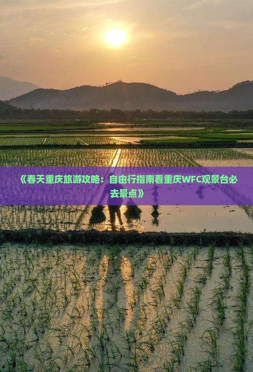 《春天重庆旅游攻略：自由行指南看重庆WFC观景台必去景点》