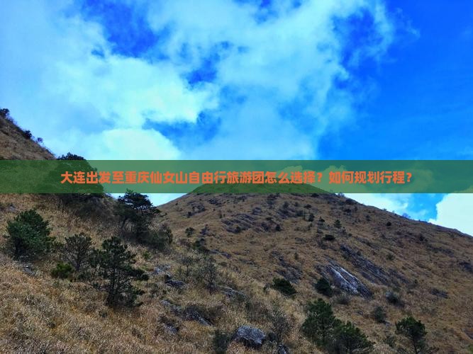 大连出发至重庆仙女山自由行旅游团怎么选择？如何规划行程？