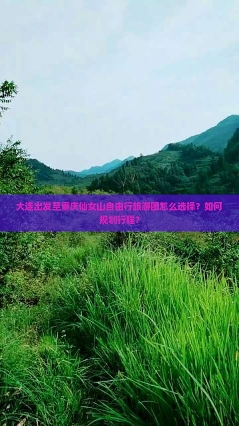 大连出发至重庆仙女山自由行旅游团怎么选择？如何规划行程？
