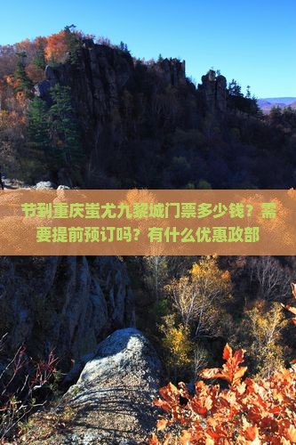节到重庆蚩尤九黎城门票多少钱？需要提前预订吗？有什么优惠政部