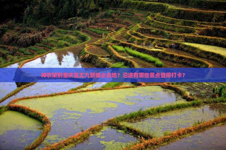 神农架到重庆蚩尤九黎城必去地？沿途有哪些景点值得打卡？
