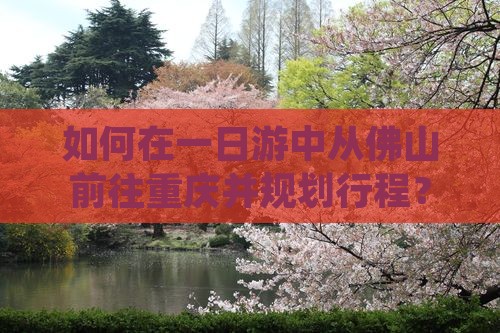 如何在一日游中从佛山前往重庆并规划行程？