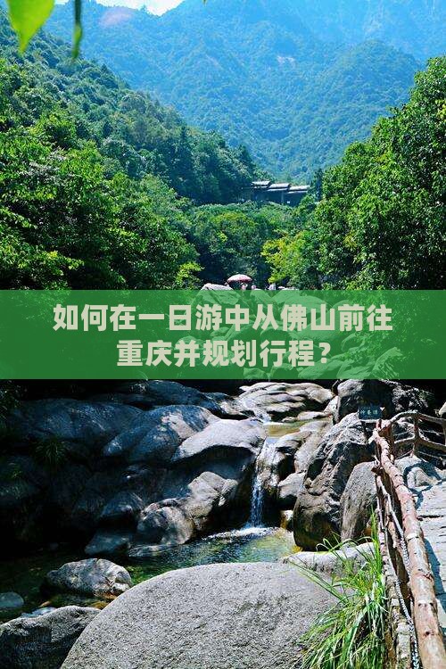 如何在一日游中从佛山前往重庆并规划行程？