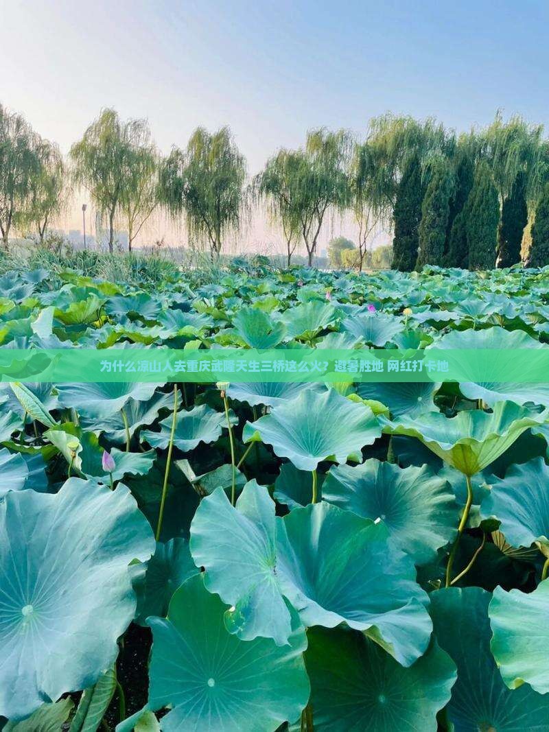 为什么凉山人去重庆武隆天生三桥这么火？避暑胜地+网红打卡地