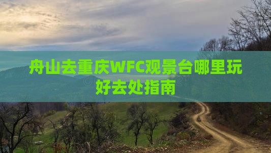 舟山去重庆WFC观景台哪里玩好去处指南