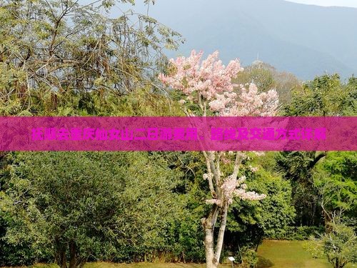 抚顺去重庆仙女山二日游费用、路线及交通方式详解