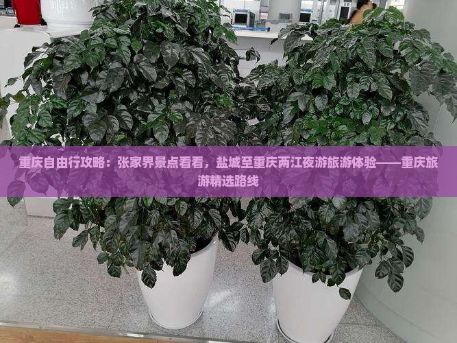 重庆自由行攻略：张家界景点看看，盐城至重庆两江夜游旅游体验——重庆旅游精选路线