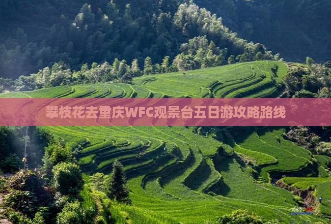攀枝花去重庆WFC观景台五日游攻略路线
