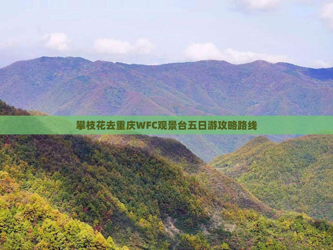攀枝花去重庆WFC观景台五日游攻略路线