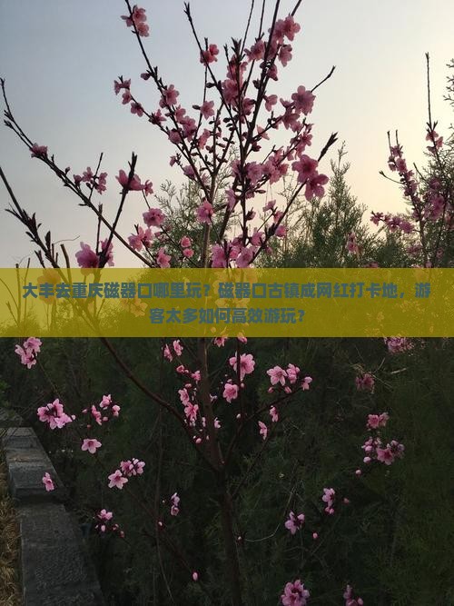 大丰去重庆磁器口哪里玩？磁器口古镇成网红打卡地，游客太多如何高效游玩？