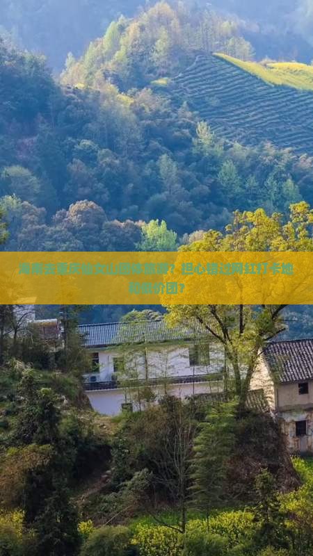 海南去重庆仙女山团体旅游？担心错过网红打卡地和低价团？