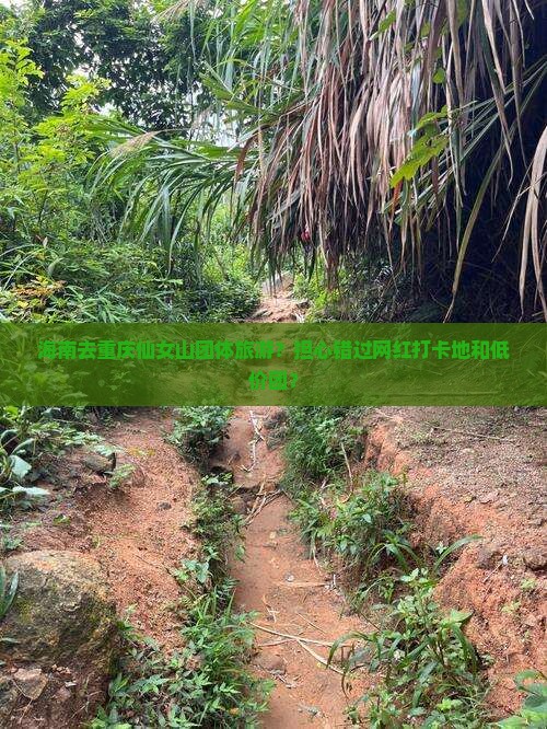 海南去重庆仙女山团体旅游？担心错过网红打卡地和低价团？