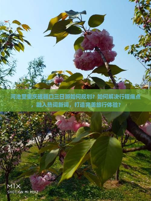 河池至重庆磁器口三日游如何规划？如何解决行程痛点，融入热词新词，打造完美旅行体验？
