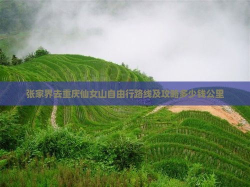 张家界去重庆仙女山自由行路线及攻略多少钱公里