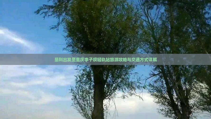垦利出发至重庆李子坝轻轨站旅游攻略与交通方式详解