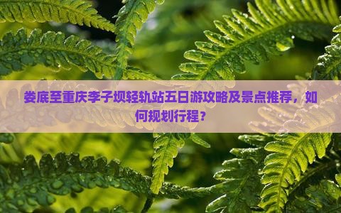 娄底至重庆李子坝轻轨站五日游攻略及景点推荐，如何规划行程？
