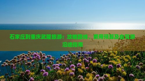 石家庄到重庆武隆旅游：攻略路线、费用预算及自驾游沿途指南