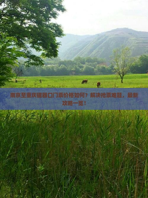 南京至重庆磁器口门票价格如何？解决抢票难题，最新攻略一览！