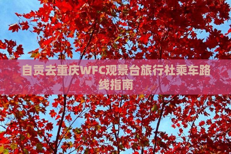 自贡去重庆WFC观景台旅行社乘车路线指南