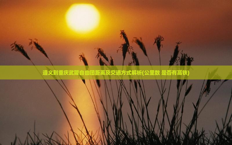 遵义到重庆武隆自由团距离及交通方式解析(公里数+是否有高铁)