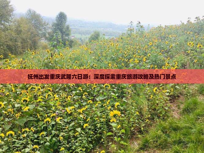 抚州出发重庆武隆六日游：深度探索重庆旅游攻略及热门景点