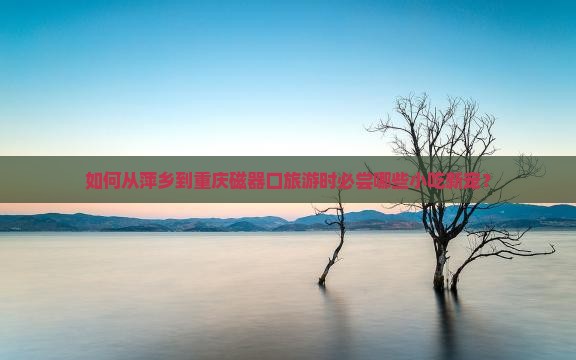 如何从萍乡到重庆磁器口旅游时必尝哪些小吃新宠？