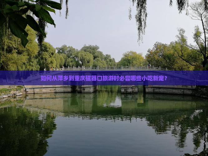 如何从萍乡到重庆磁器口旅游时必尝哪些小吃新宠？