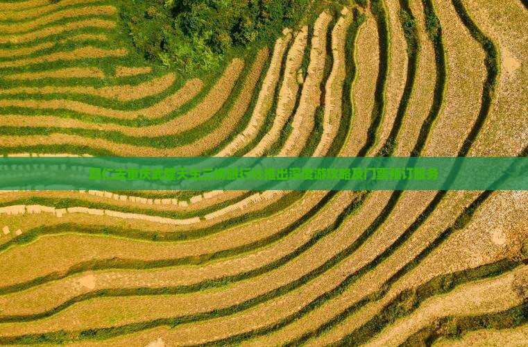 铜仁去重庆武隆天生三桥旅行社推出深度游攻略及门票预订服务